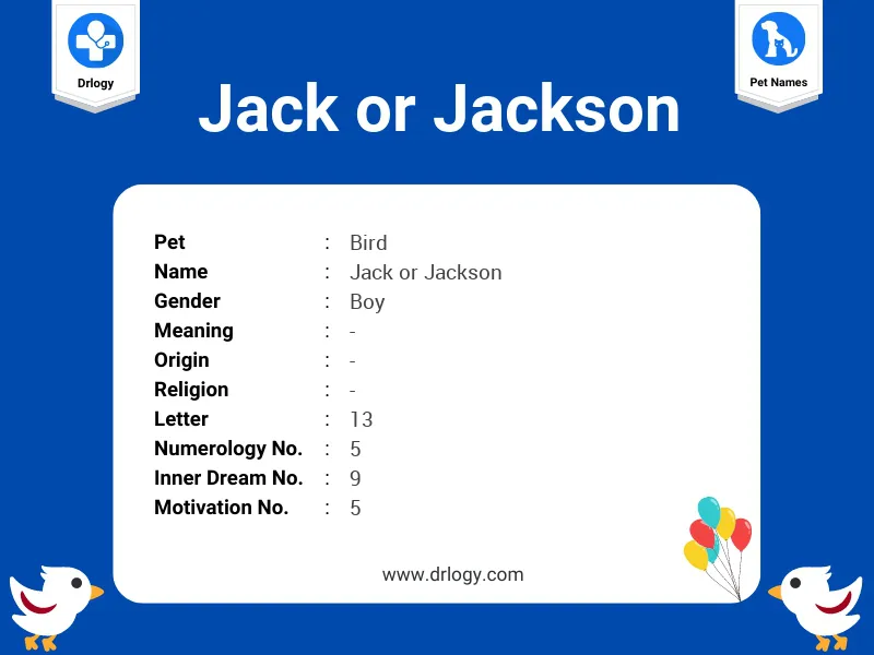 Jack Or Jackson Name Meaning